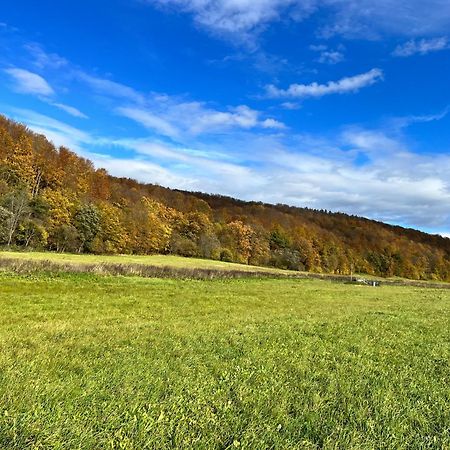 Domki Nad Stawem Uherce Uherce Mineralne Exteriér fotografie