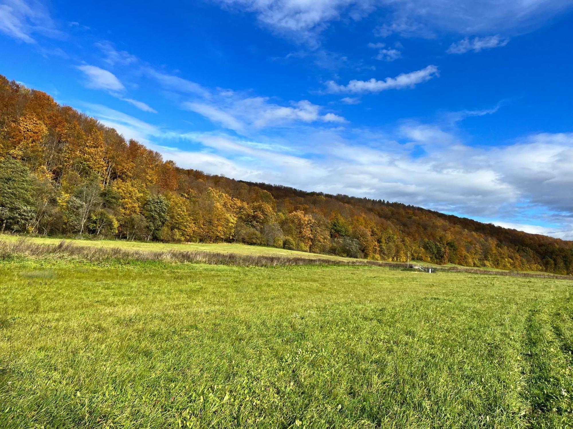 Domki Nad Stawem Uherce Uherce Mineralne Exteriér fotografie