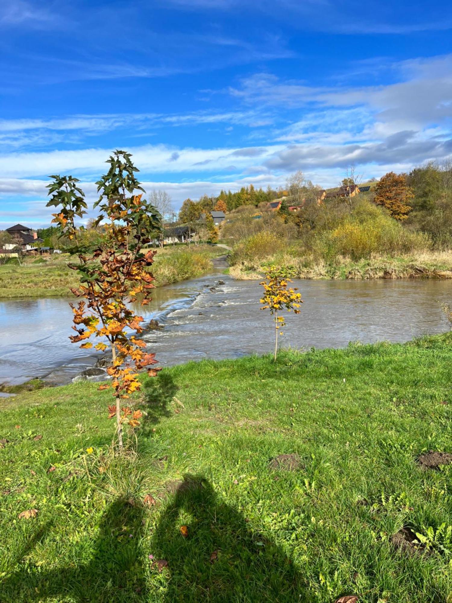 Domki Nad Stawem Uherce Uherce Mineralne Exteriér fotografie