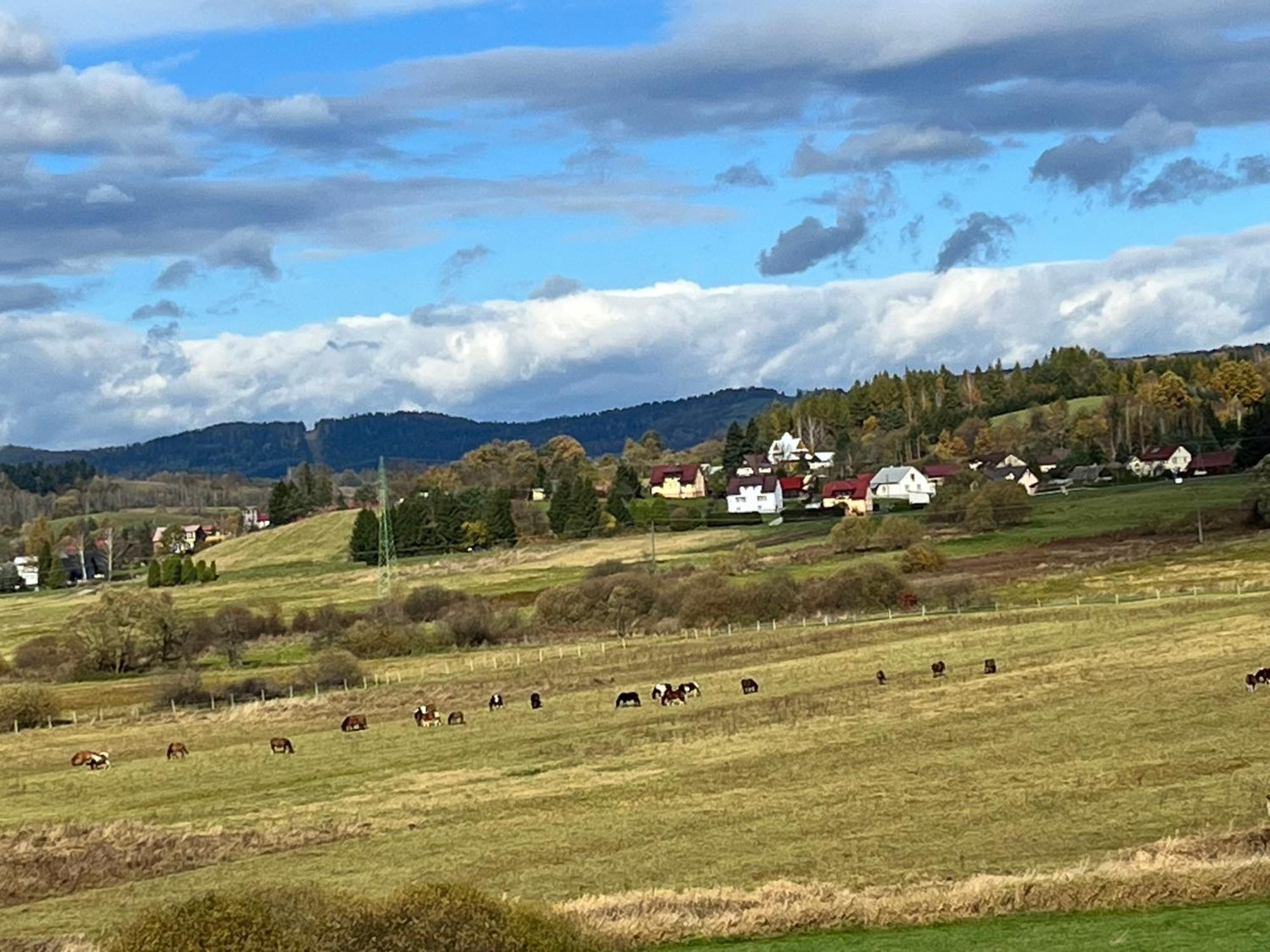 Domki Nad Stawem Uherce Uherce Mineralne Exteriér fotografie