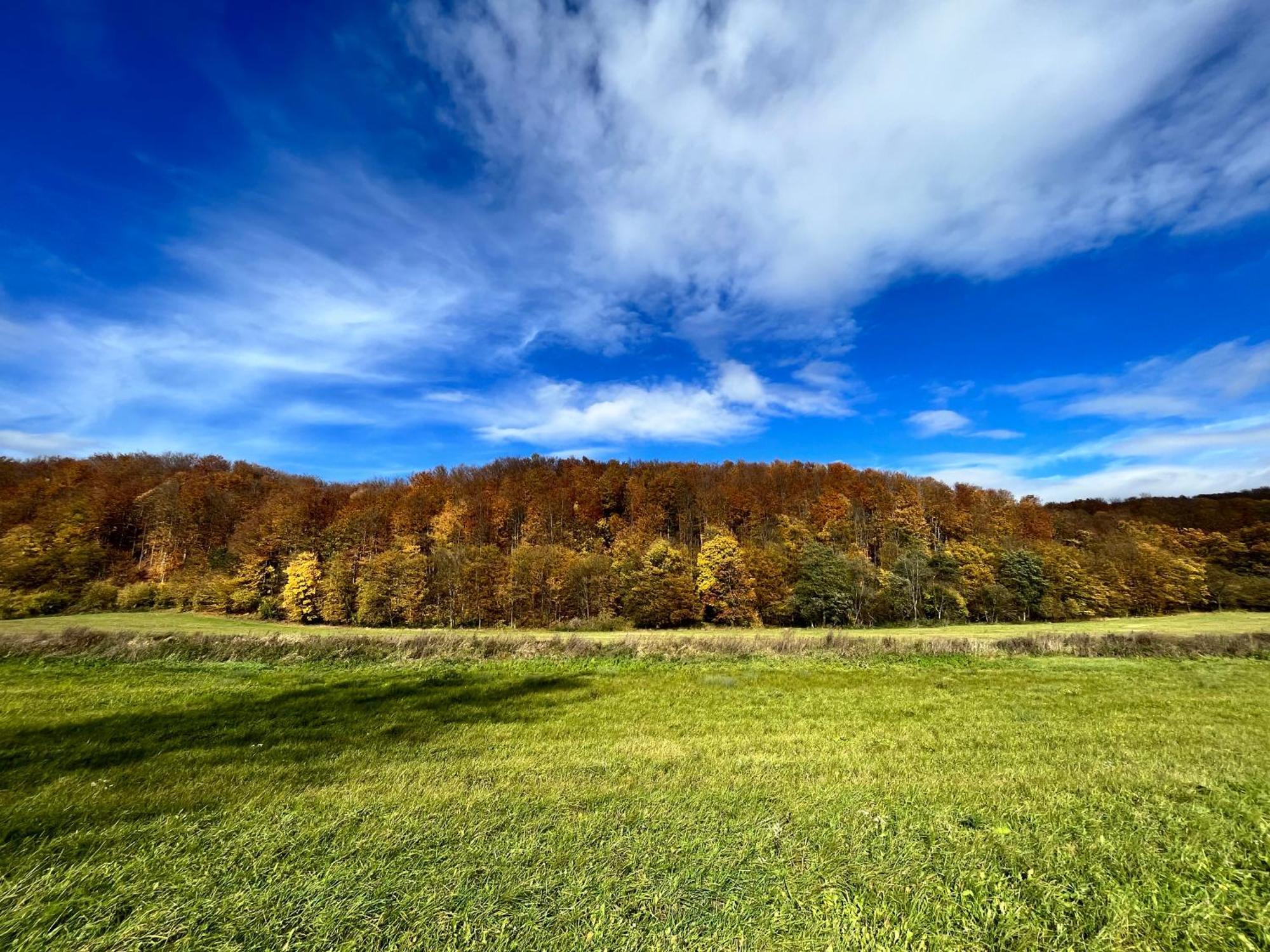 Domki Nad Stawem Uherce Uherce Mineralne Exteriér fotografie